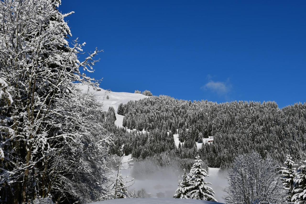 Chalet Orlando Les Gets Dış mekan fotoğraf