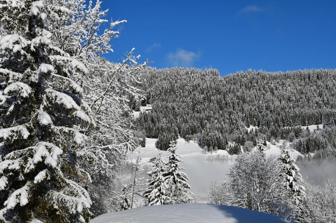 Chalet Orlando Les Gets Dış mekan fotoğraf