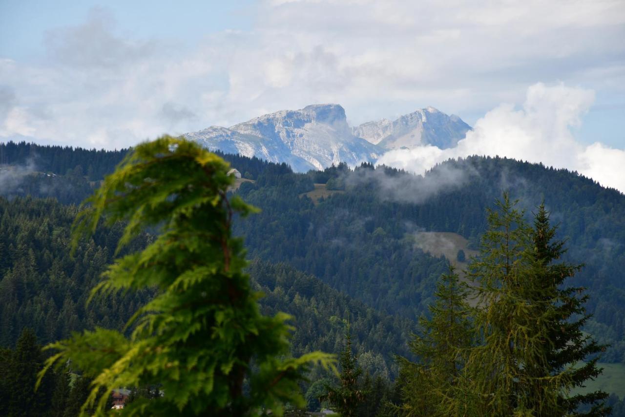 Chalet Orlando Les Gets Dış mekan fotoğraf